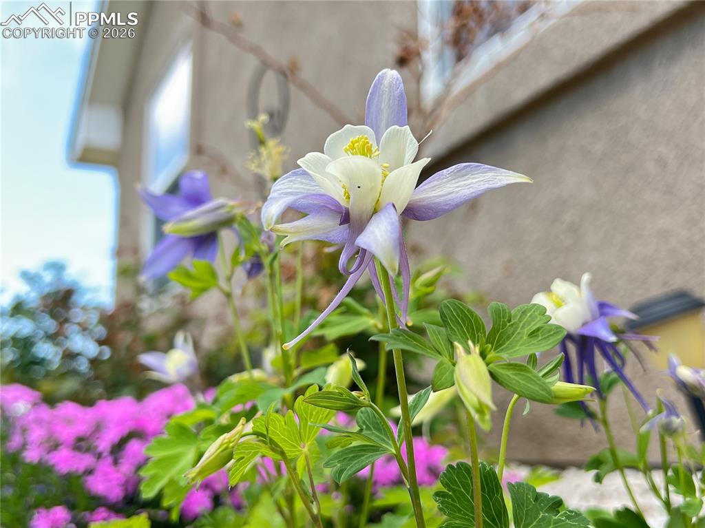 Image 40 of 41: Other