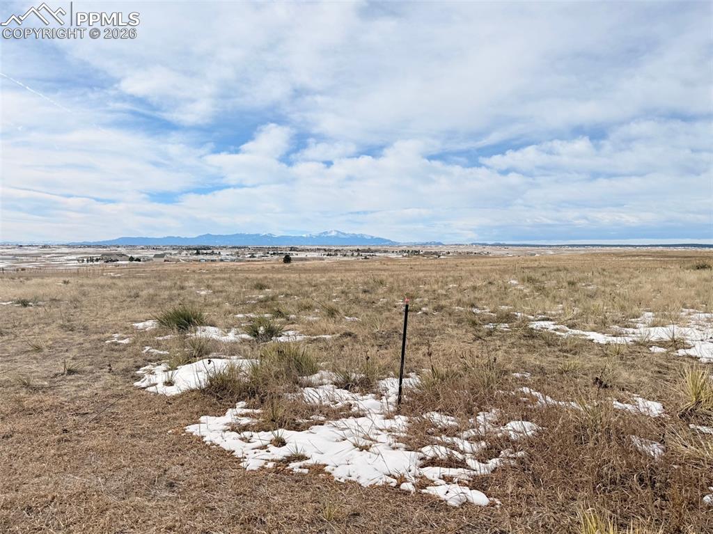 Image 14 of 19: Other