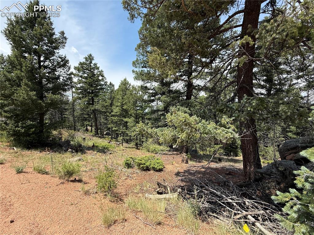 Image 2 of 17: Other