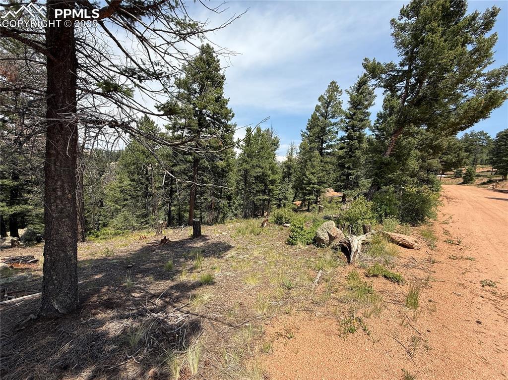 Image 4 of 17: Other