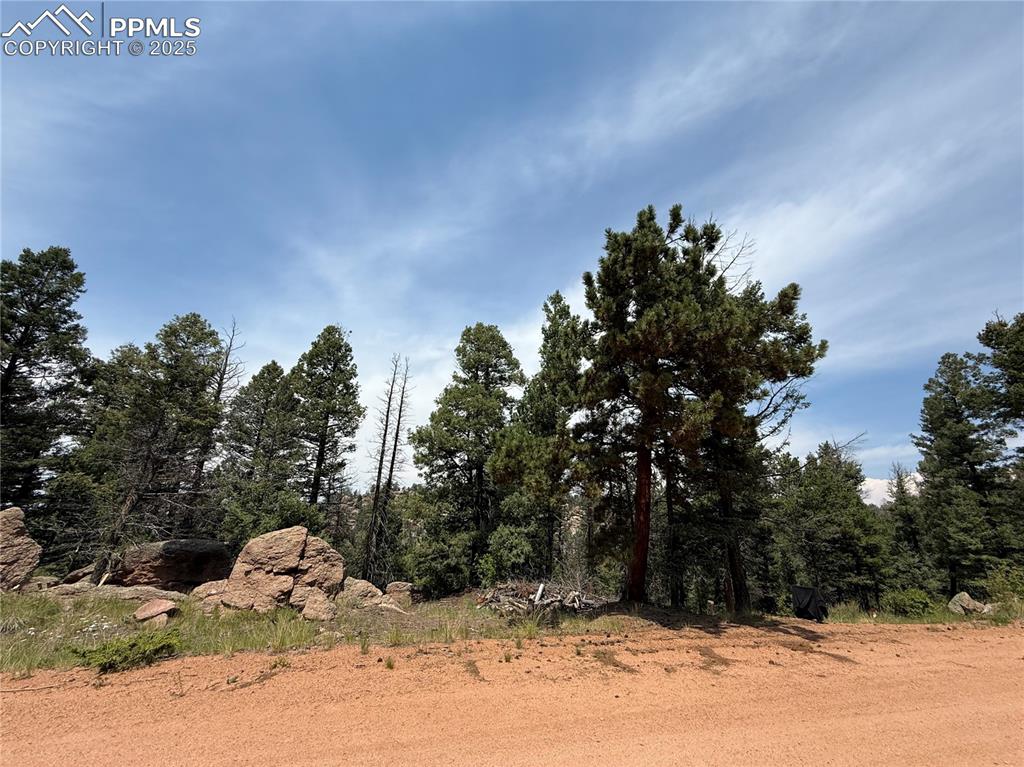 Image 5 of 17: Other