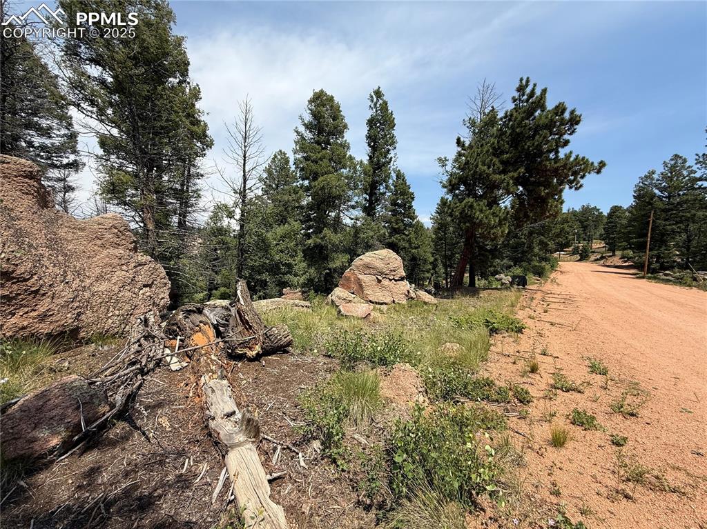 Image 6 of 17: Other