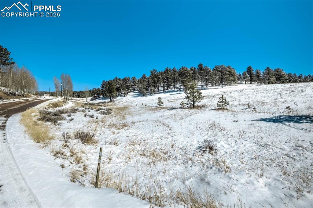 Image 10 of 19: Yard