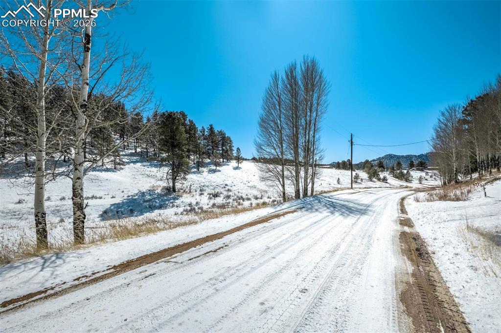 Image 8 of 19: Community