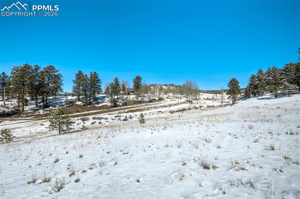 Image 9 of 19: Other