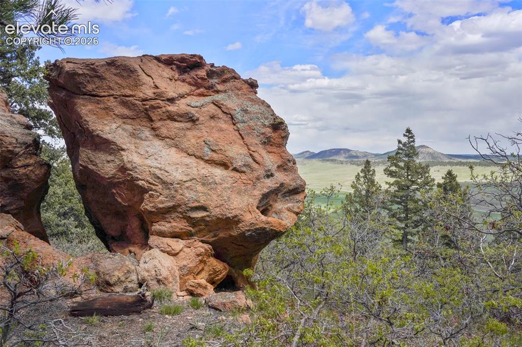 Image 4 of 48: Other