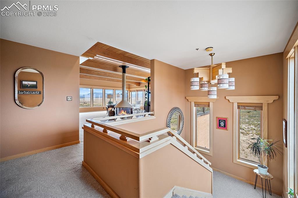 Image 15 of 31: Other