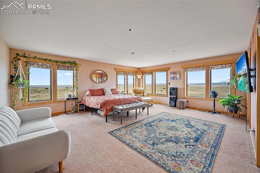 Image 27 of 31: Bedroom with multiple windows and carpet flooring
