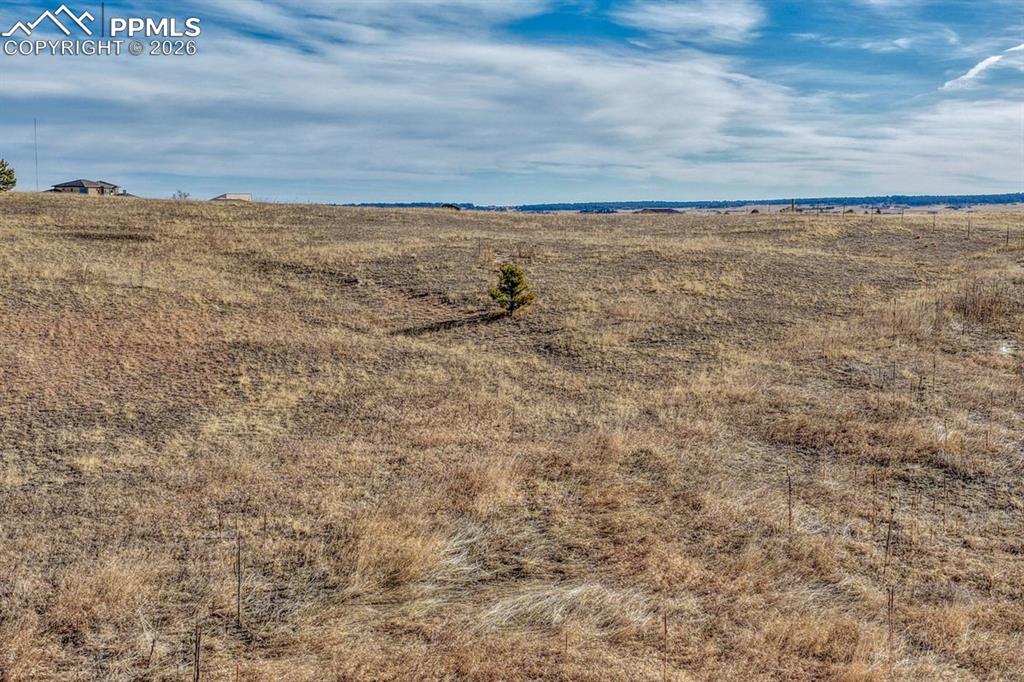 Image 23 of 26: Other