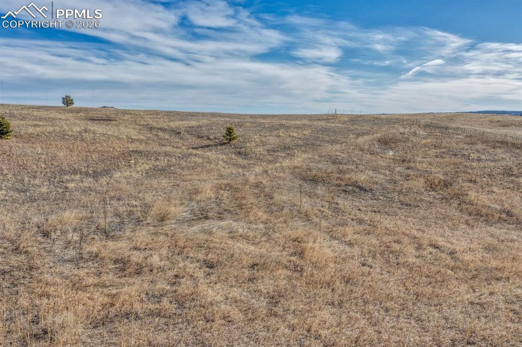 Image 25 of 26: Other