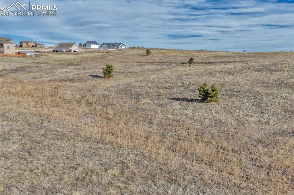 Image 4 of 26: Other