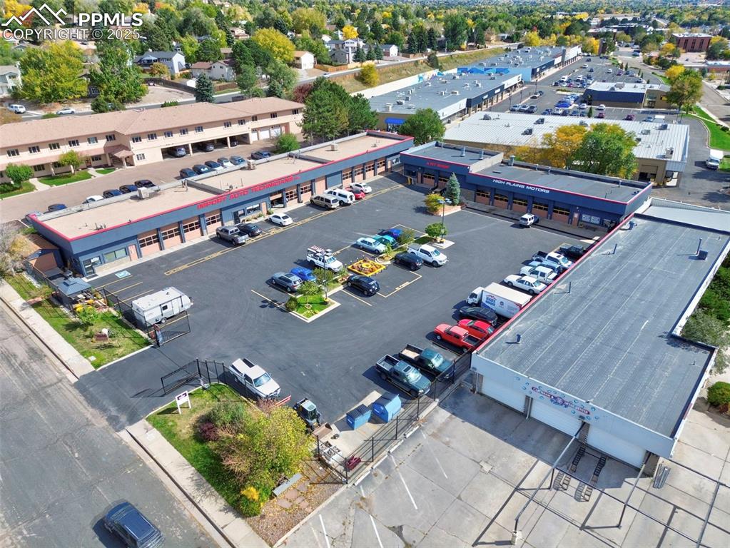 Image 10 of 13: Bird