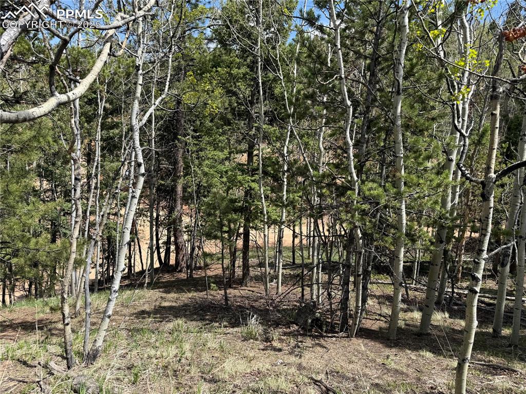 Image 10 of 14: Other