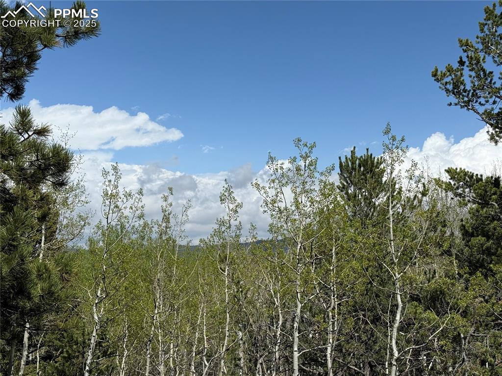 Image 11 of 14: Other