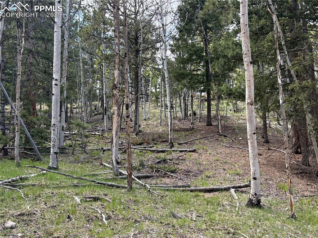 Image 12 of 14: Other