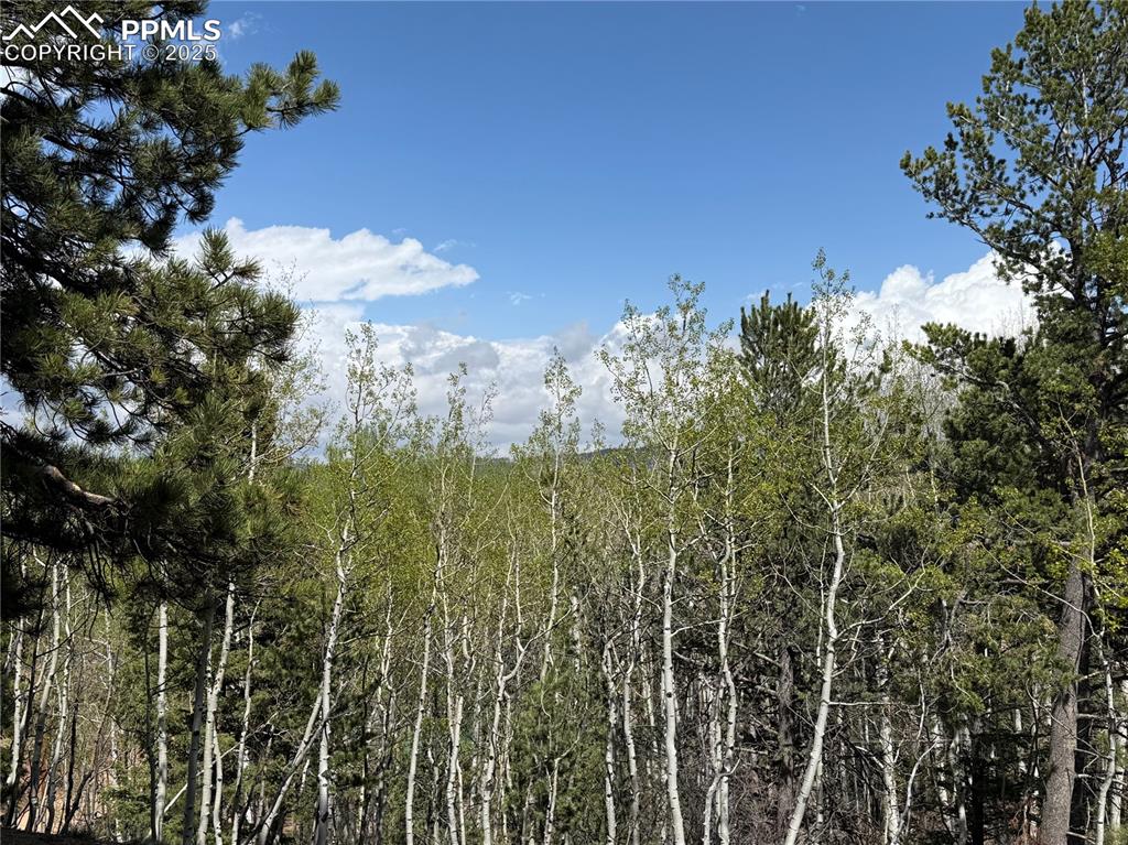 Image 13 of 14: Other