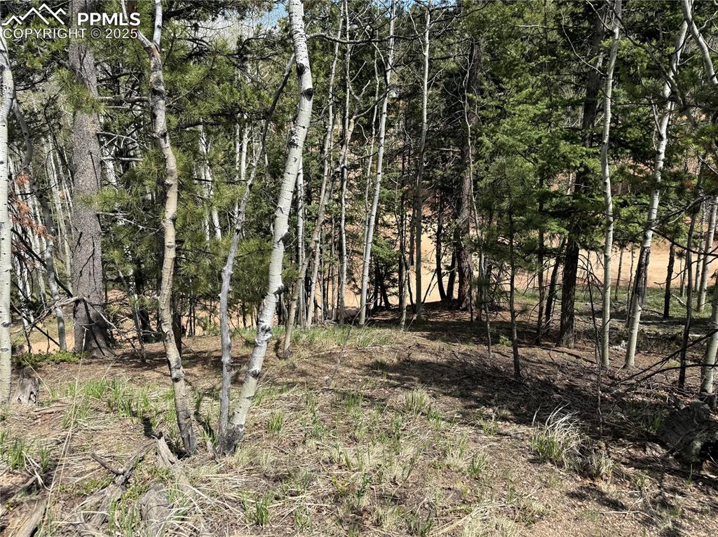 Image 14 of 14: Other