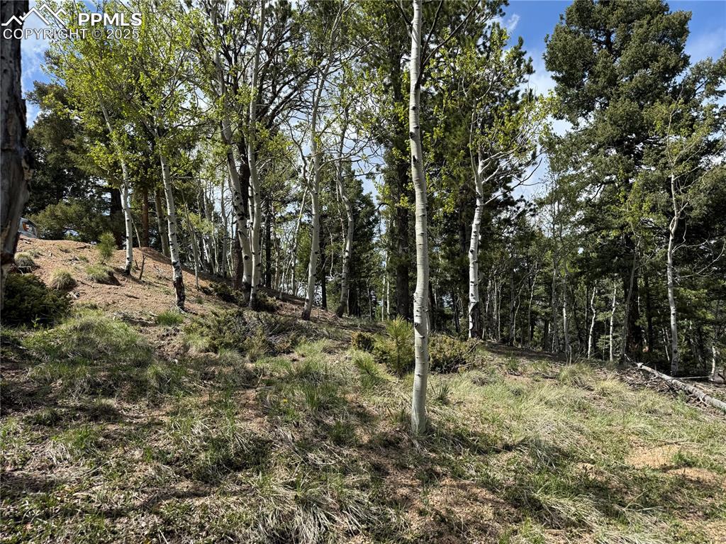 Image 2 of 14: Other