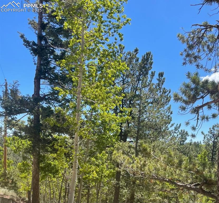 Image 3 of 14: No Description Available