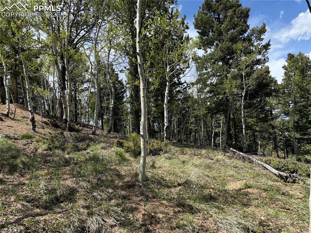 Image 4 of 14: Other