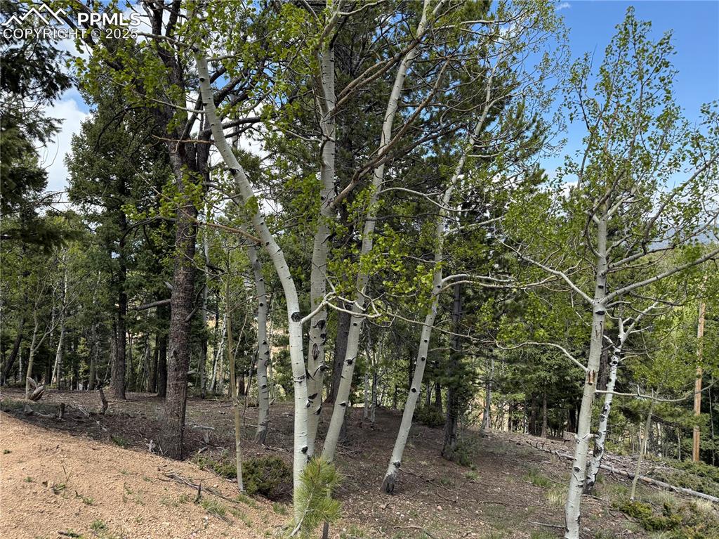 Image 5 of 14: Other