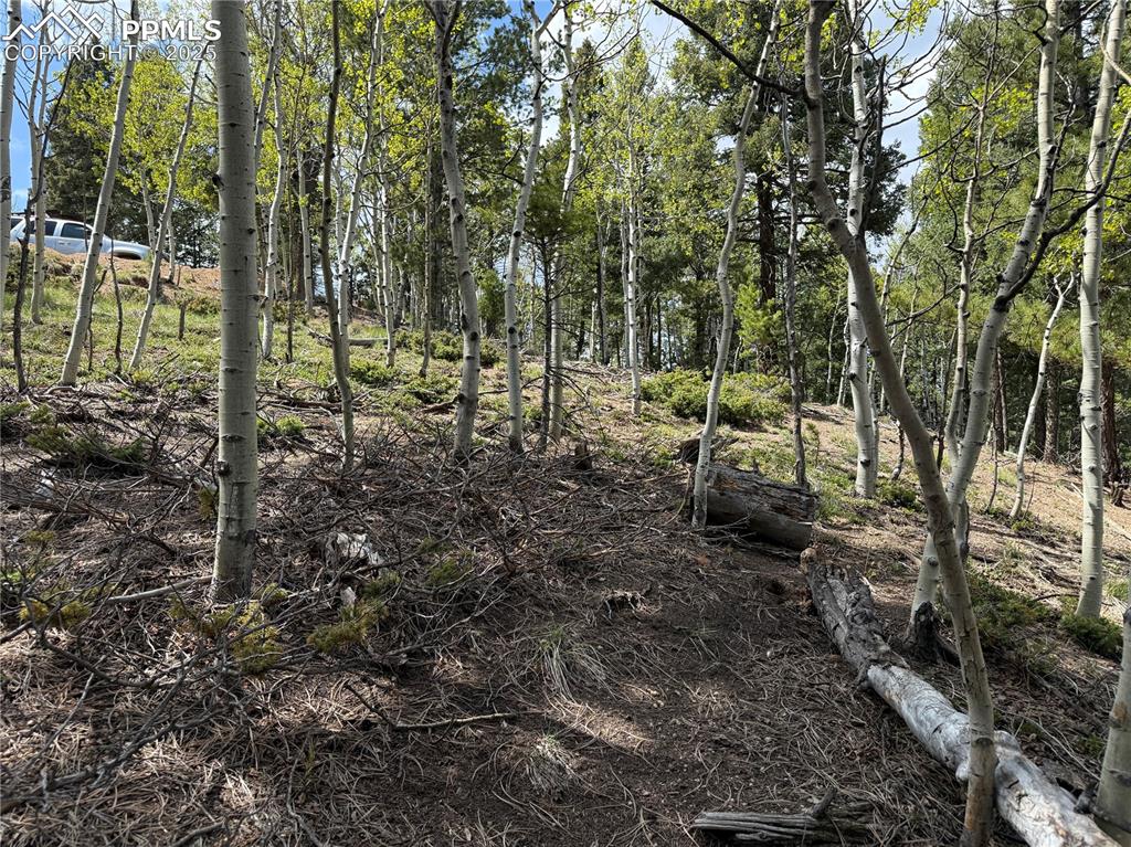 Image 6 of 14: Other