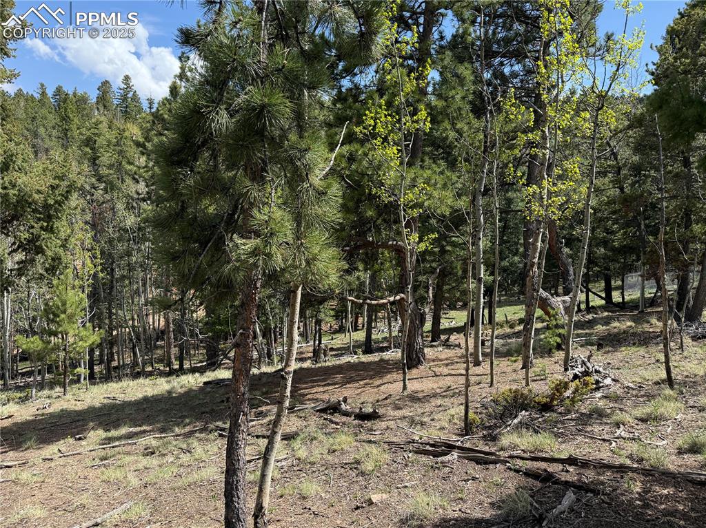 Image 7 of 14: Other