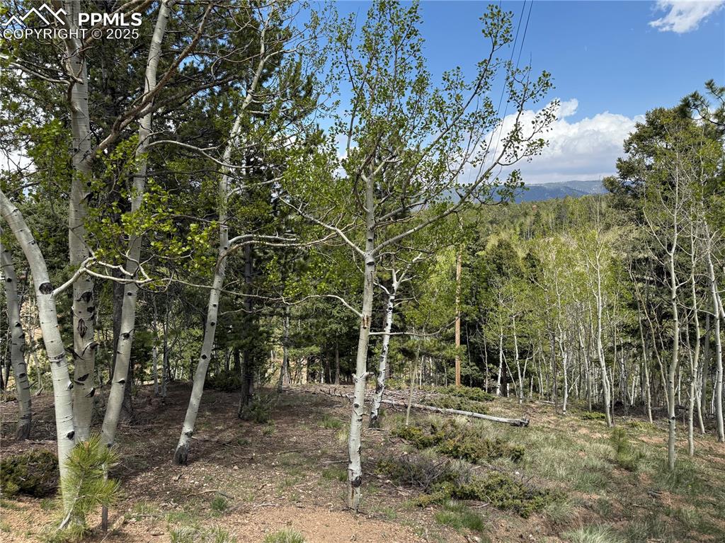 Image 8 of 14: Other