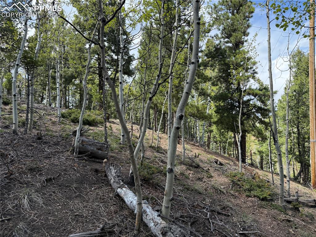 Image 9 of 14: Other