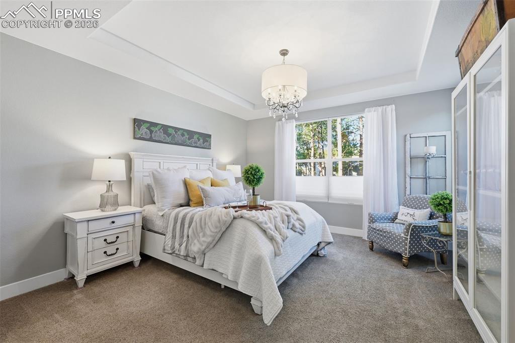 Image 16 of 40: Main level master with up/down blinds for added privacy and full enjoyment 