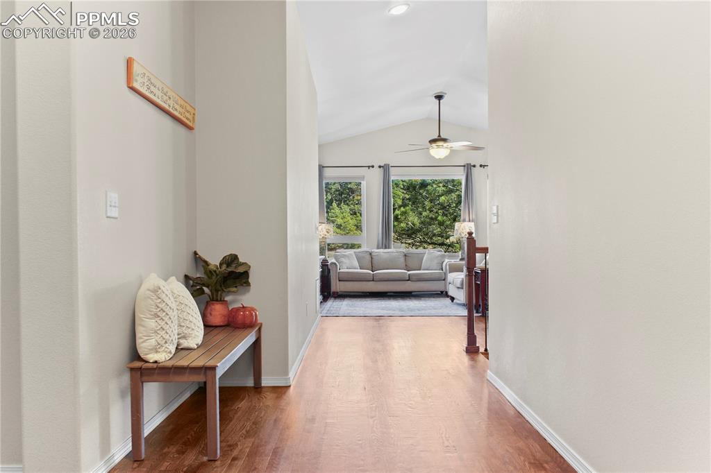 Image 3 of 34: Other