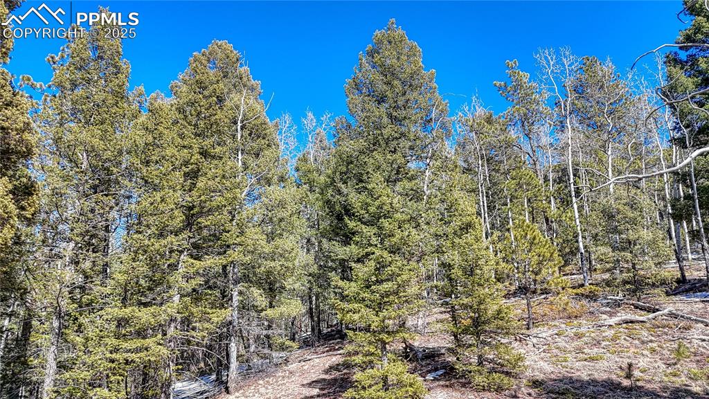 Image 11 of 25: Other