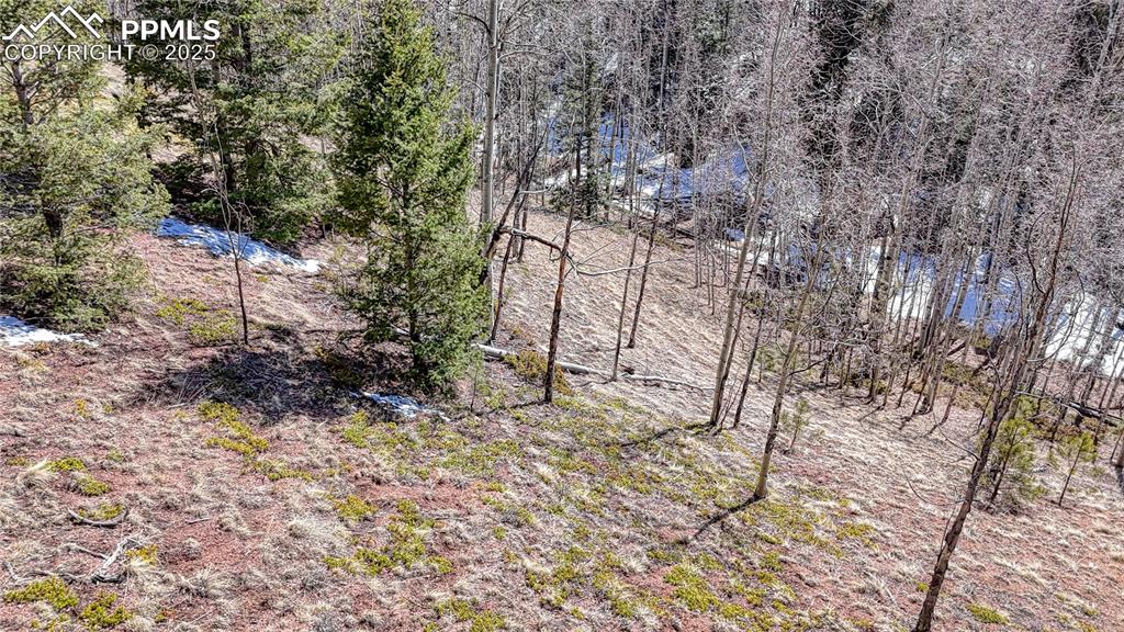 Image 12 of 25: Other