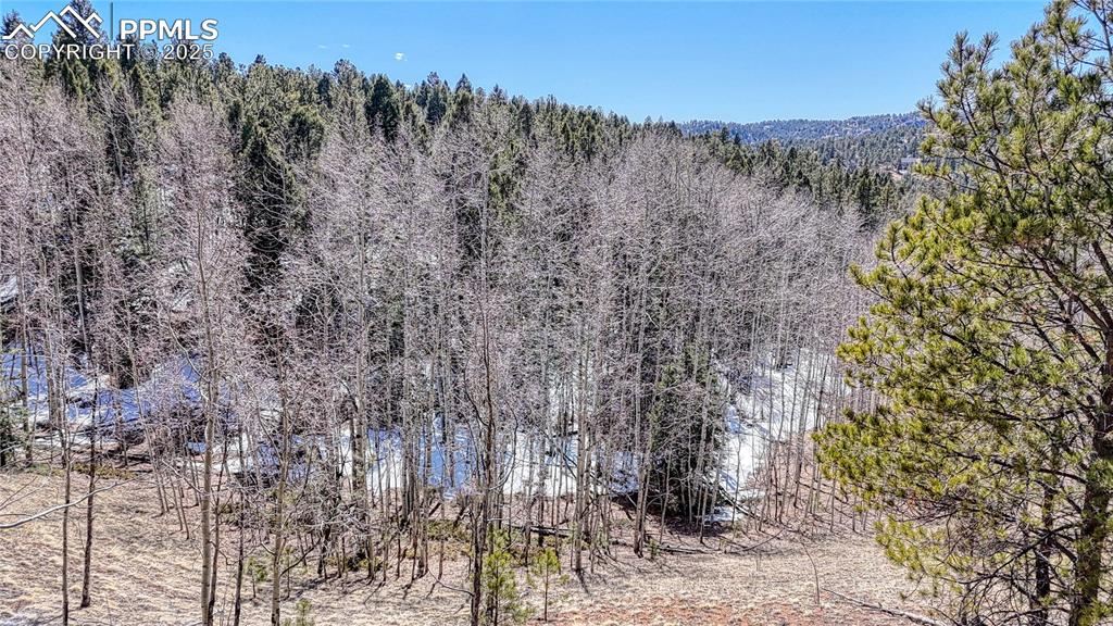 Image 13 of 25: Other