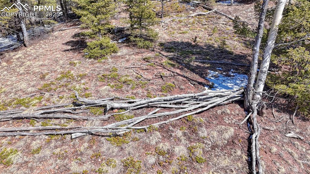 Image 16 of 25: Other