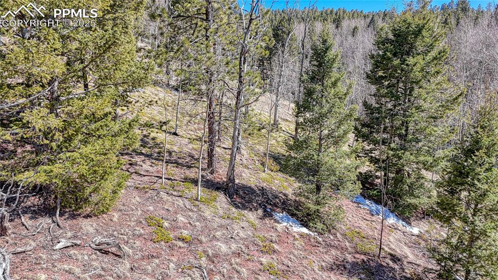 Image 20 of 25: Other