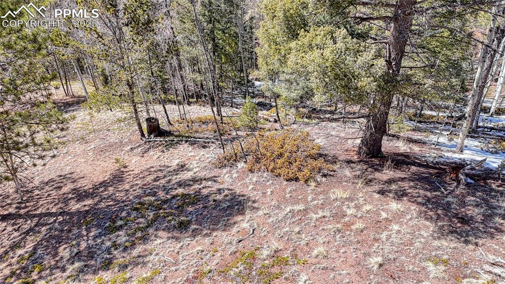 Image 21 of 25: Other