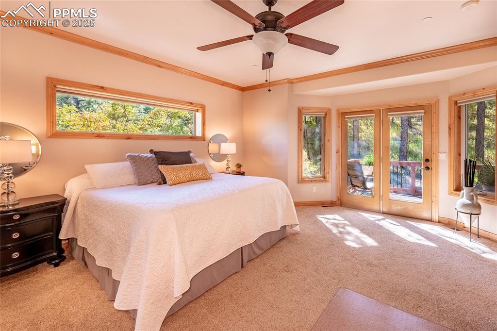Image 16 of 47: Bedroom with carpet floors, multiple windows, crown molding, access to outs
