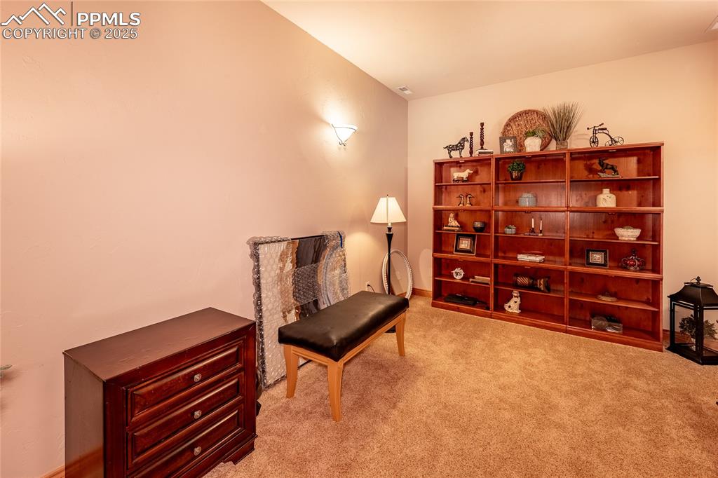 Image 33 of 47: Home theater room room with light carpet and baseboards