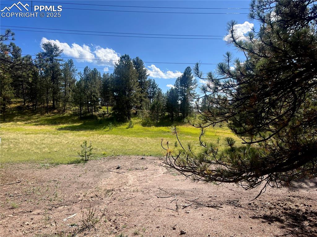 Image 43 of 48: Yard