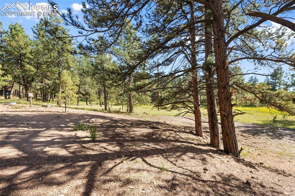 Image 44 of 48: Yard