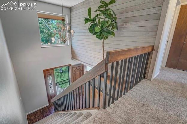 Image 18 of 48: Other