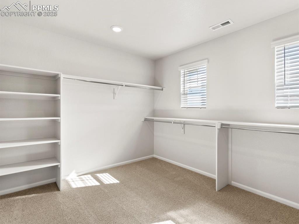 Image 19 of 23: Spacious closet with light colored carpet