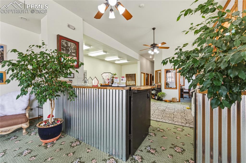 Image 6 of 49: Kitchen