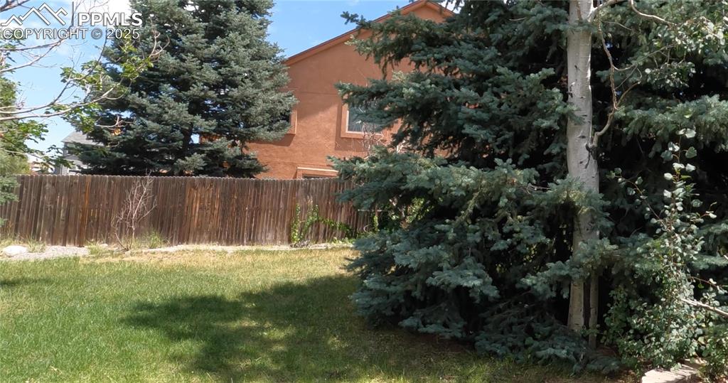 Image 46 of 48: View of yard