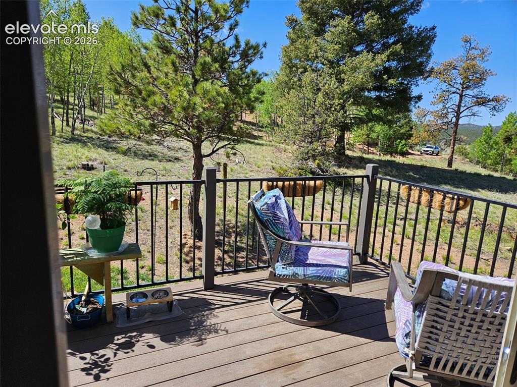 Image 19 of 21: Deck