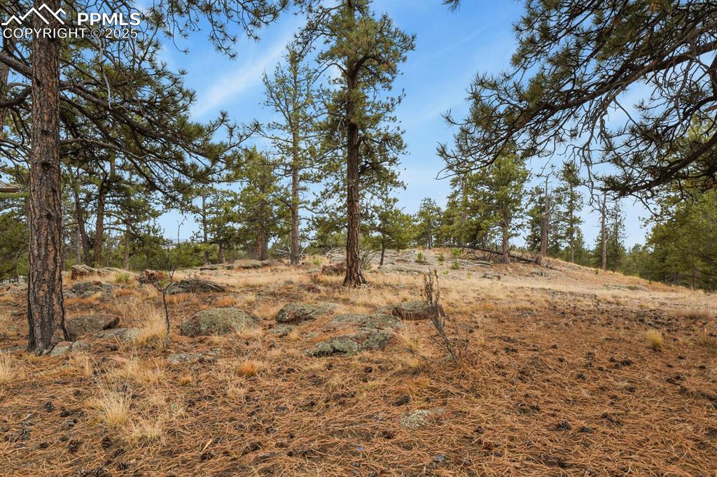 Image 24 of 37: Other