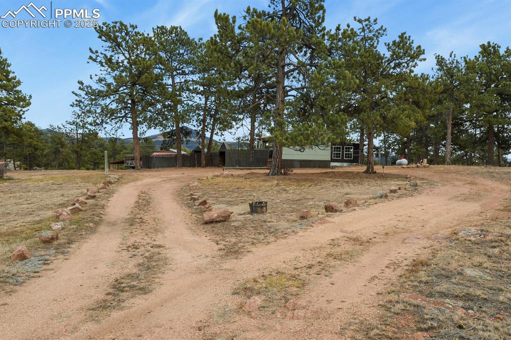 Image 37 of 37: Other