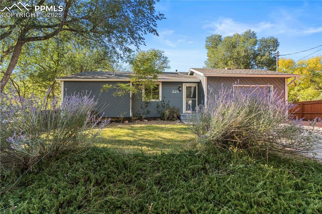 Image 24 of 24: Back of Structure