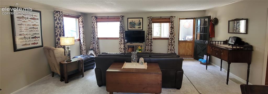 Image 10 of 27: Carpeted flooring extending through living space, multiple windows with woo